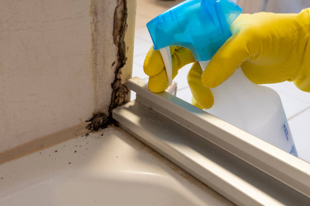 Water Damage Restoration in Oreana, IL