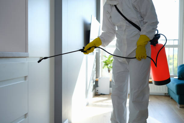 Best Home Mold Removal  in Oreana, IL