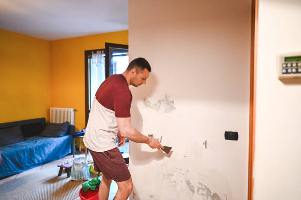 Best Professional Mold Removal  in Oreana, IL